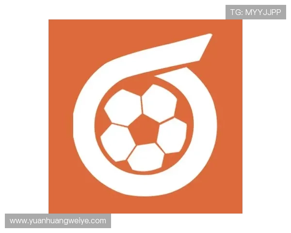 华体会登录最新登录地址确保用户顺利进入平台体验最新体育赛事资讯